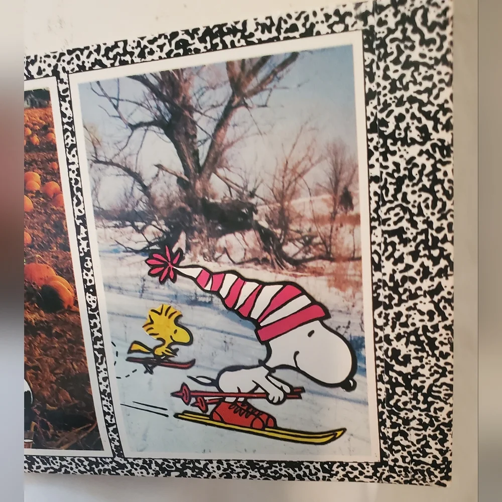 Snoopy Portfolio Fun Graphics Vtg 1966 Woodstock Motocross Skiing Made In USA